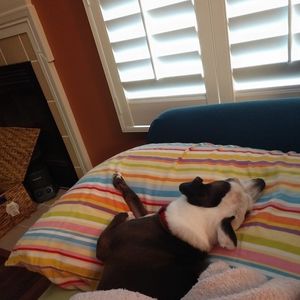 Meet your Posher, Sara